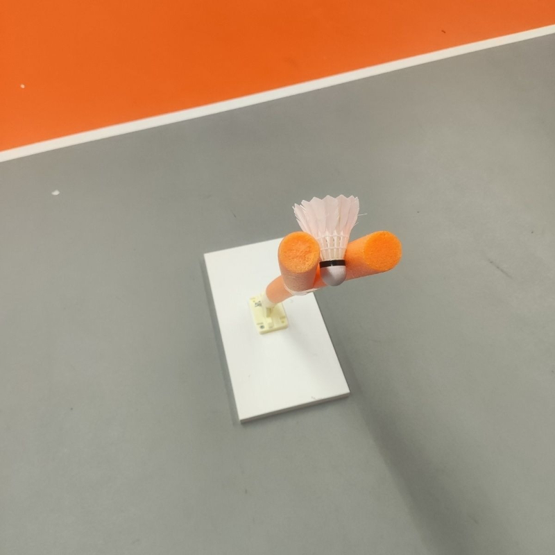 Children Badminton Pick Serve  - Sports Equipment For Badminton review and price